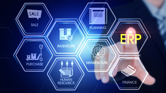 Enterprise Resource Planning (ERP) Systems
